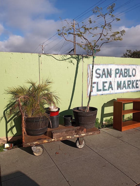 San Pablo Flea Market