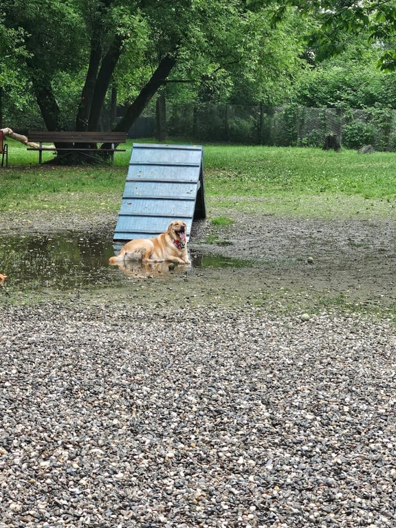 Watson Upper Valley Dog Park