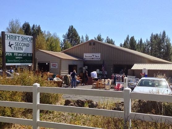 Second Tern Thrift Store