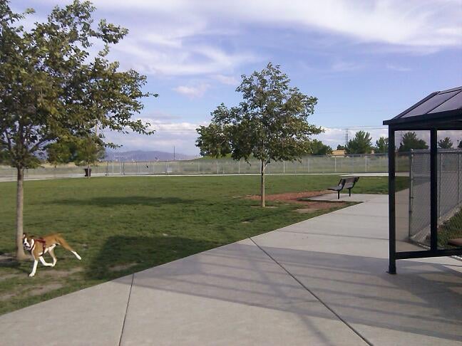 West Jordan Off-Leash Dog Park