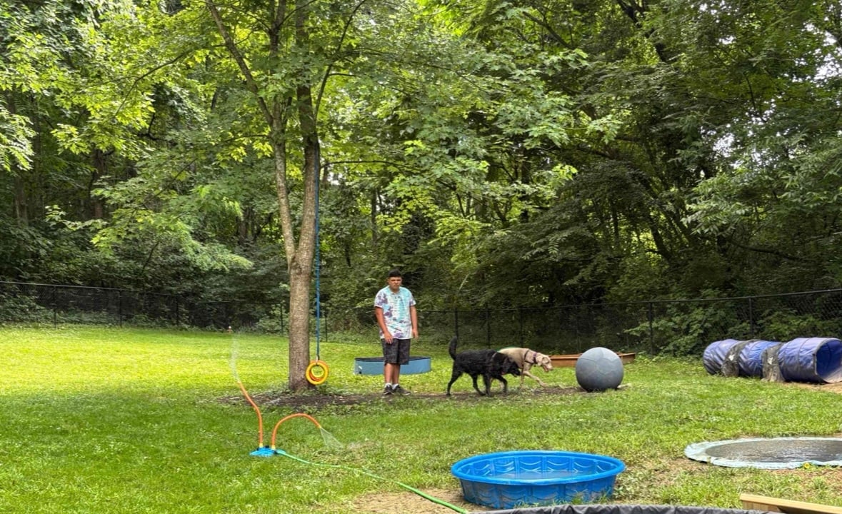 Connie’s Dogtopia