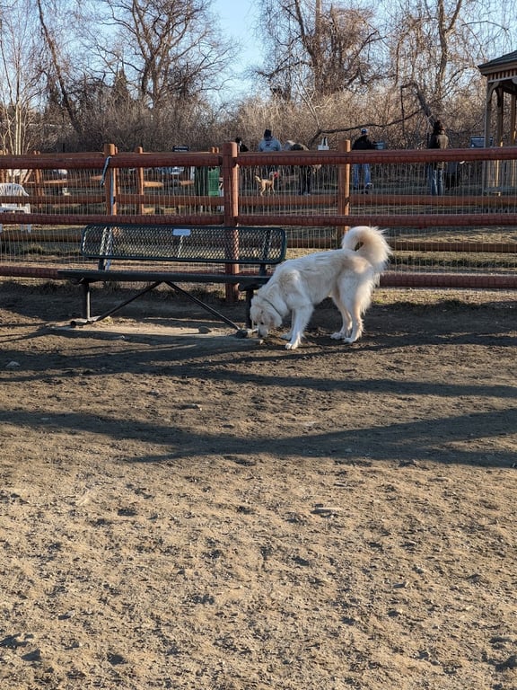 Portsmouth RI Dog Park