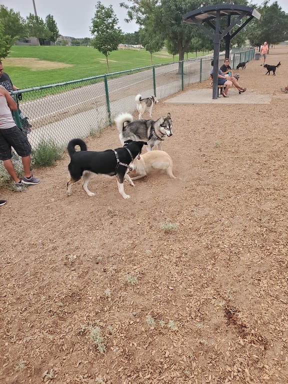 Santa Fe Village Dog Park