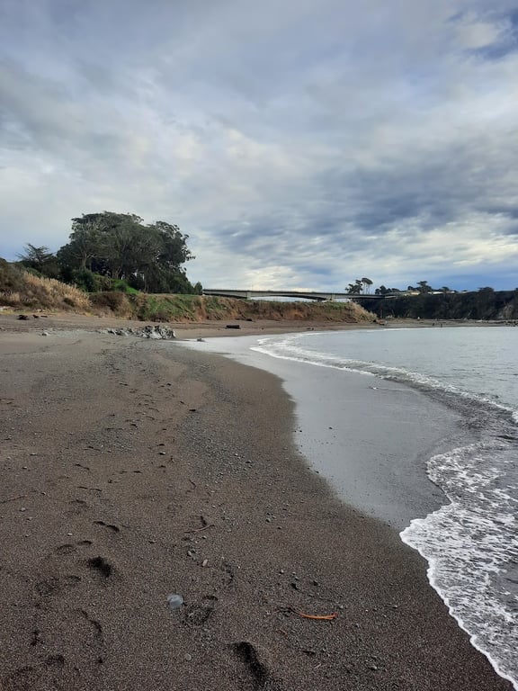 Noyo Beach Off-Leash Dog Area