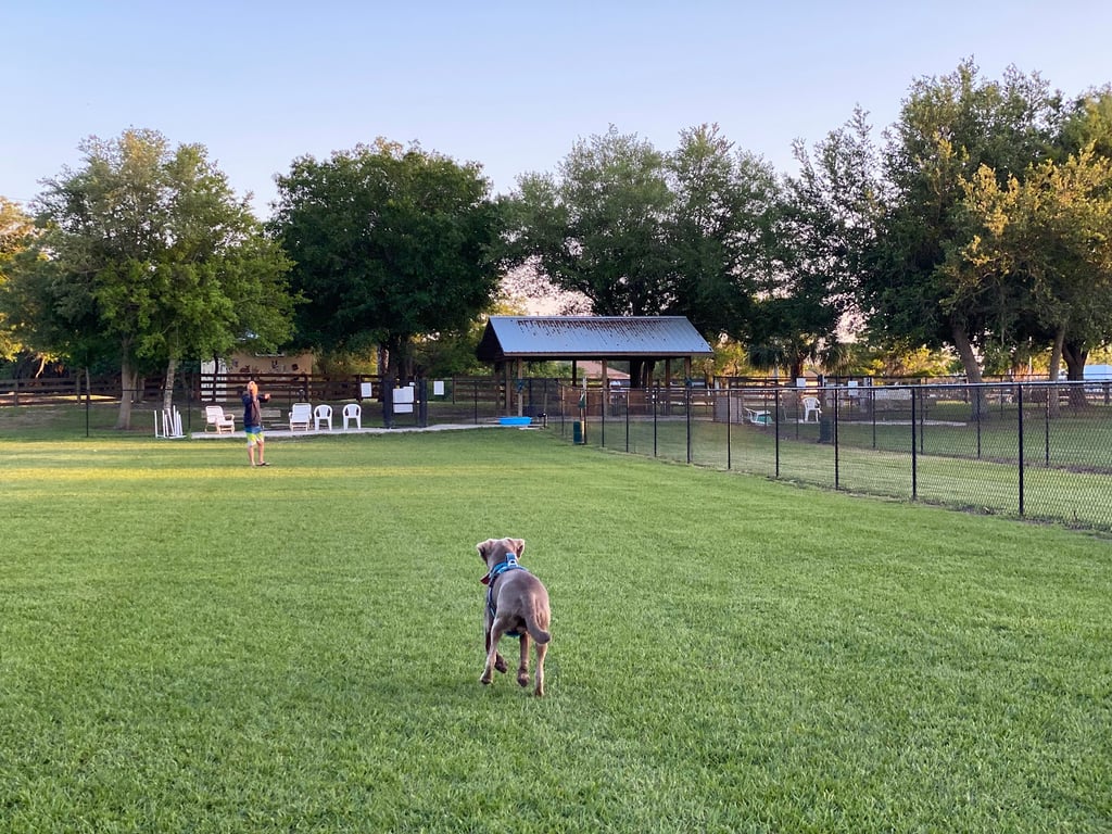 Spring Lake Dog Park