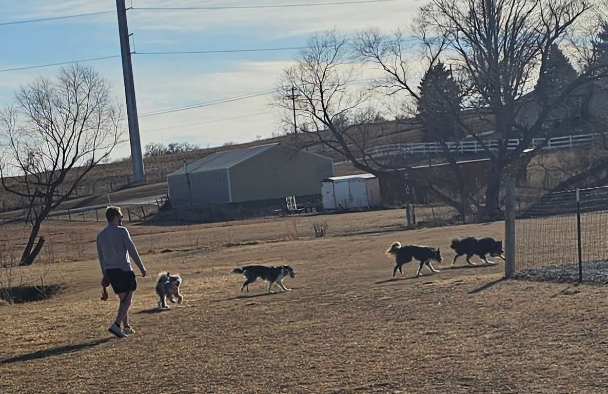 Bark Park Omaha – Private Dog Park