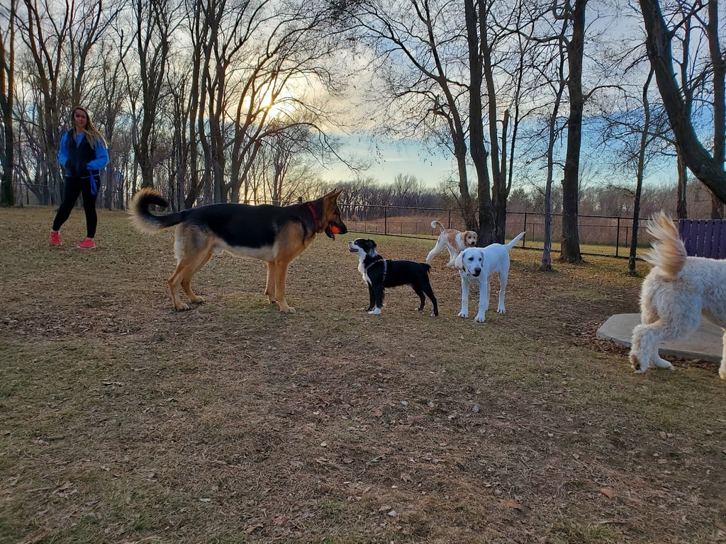 Cadwell Dog Park