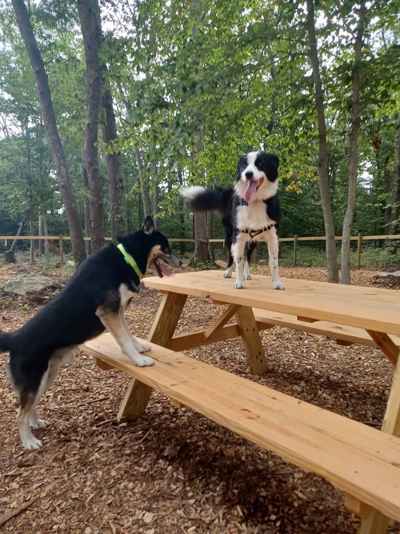 Raymond F Jones Memorial Dog Park