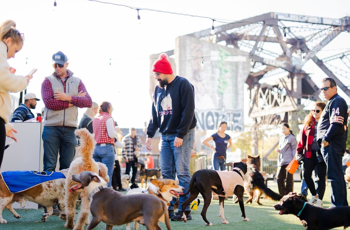 Pup Social