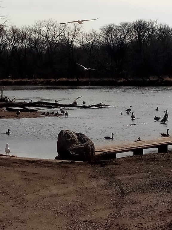 Cedar Bend Park
