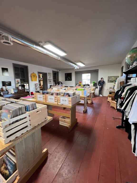 Photo of …mad lion gallery