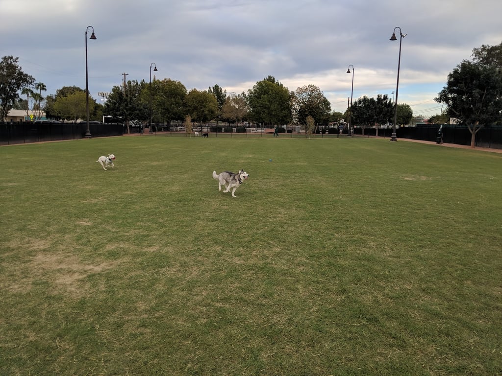 Founders’ Park Dog Park