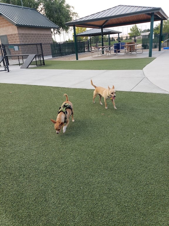 Storey Bark Park