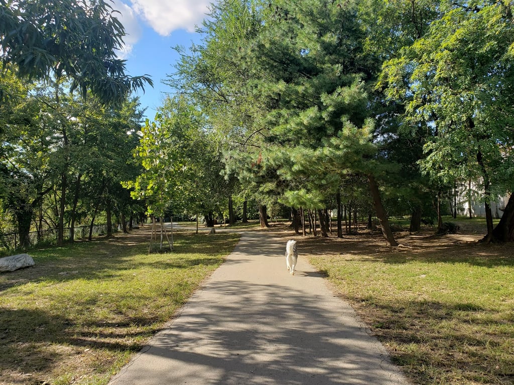 Shirlington Park