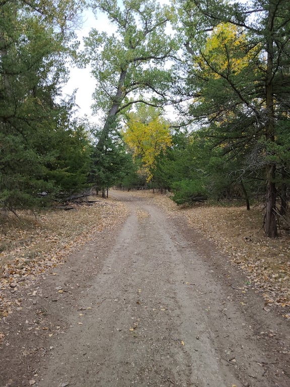 LaFramboise Island Nature Area