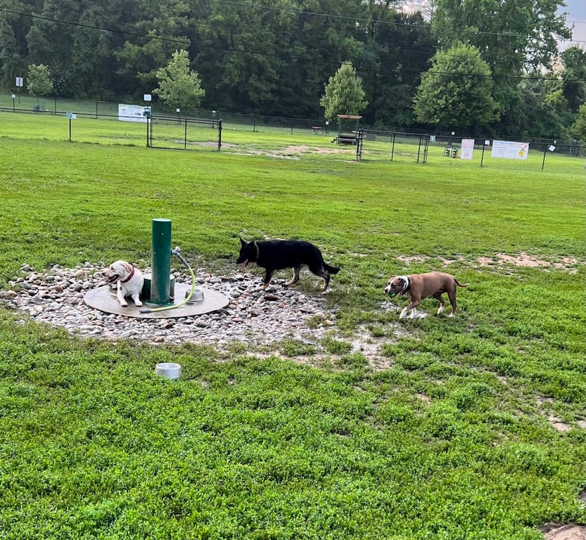 Westgrove Dog Park