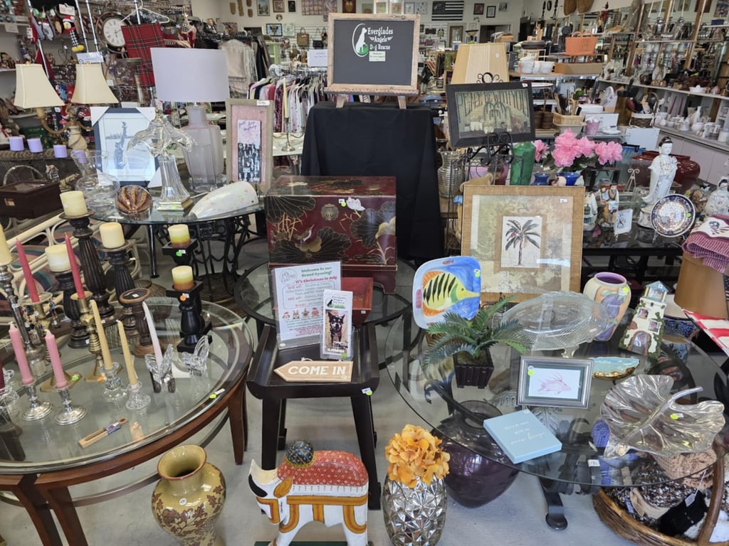 Treasures 4 Tails Thrift Store