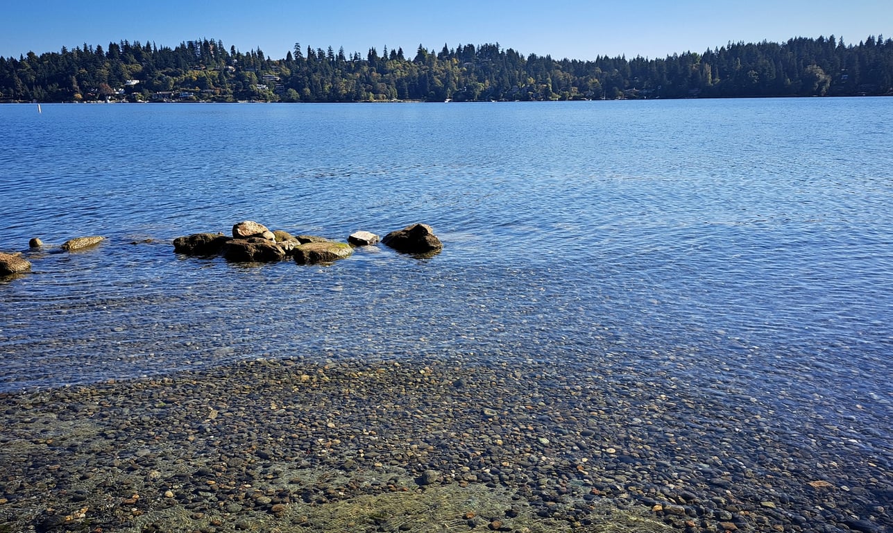 Off-Leash Dog Area