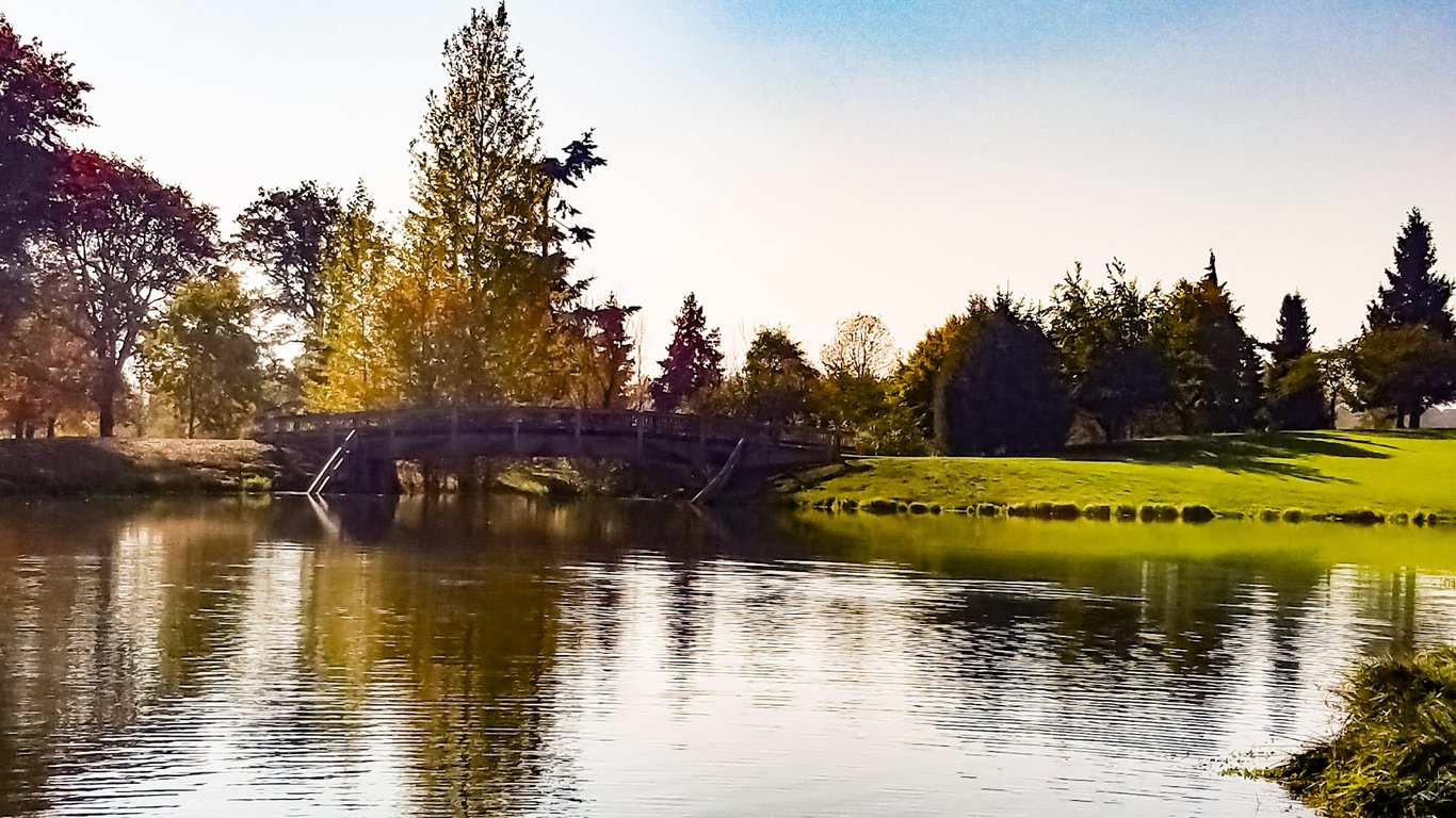 Albany Dog Park at Timber Linn Park