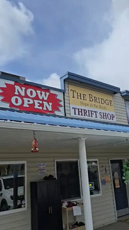The Bridge – Hope in the Roots