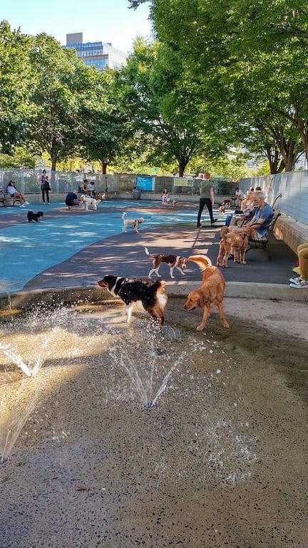 Leroy Street Dog Park
