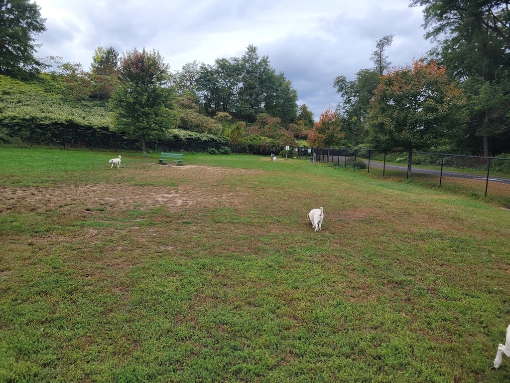 Merrymeeting Dog Park