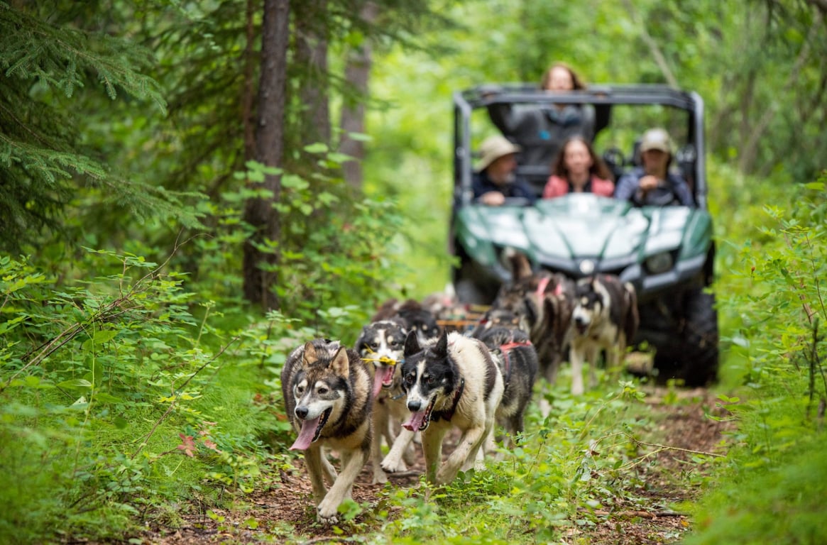 Trail Breaker Kennel