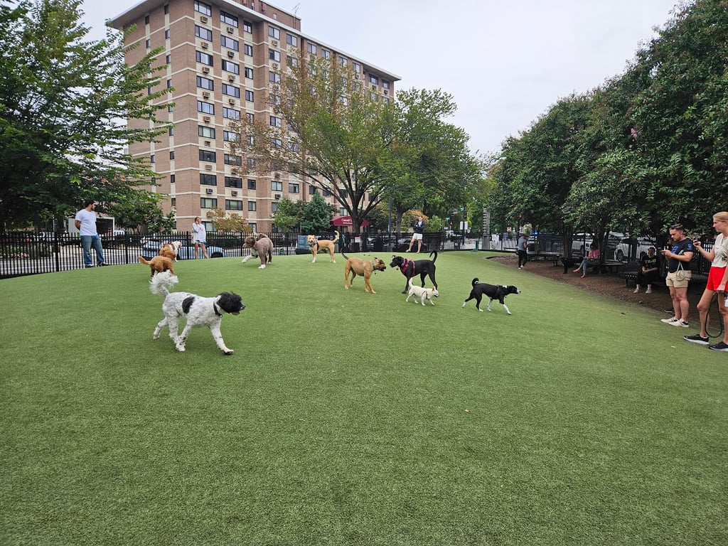 DC Dog Park