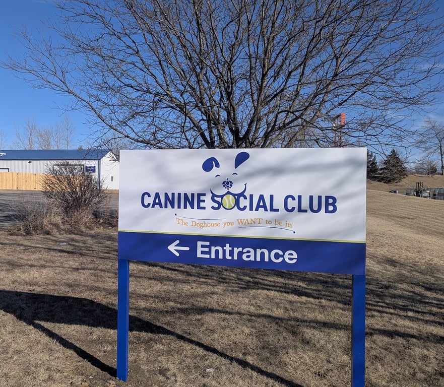 Canine Social Club CR