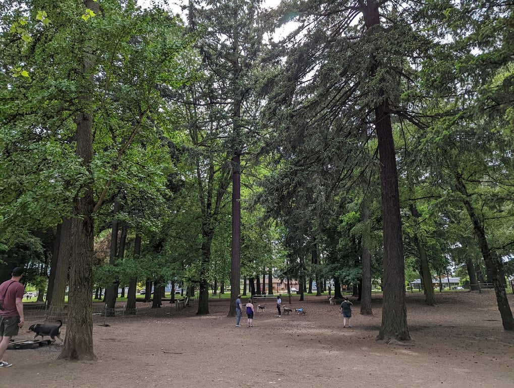 Normandale Dog Park