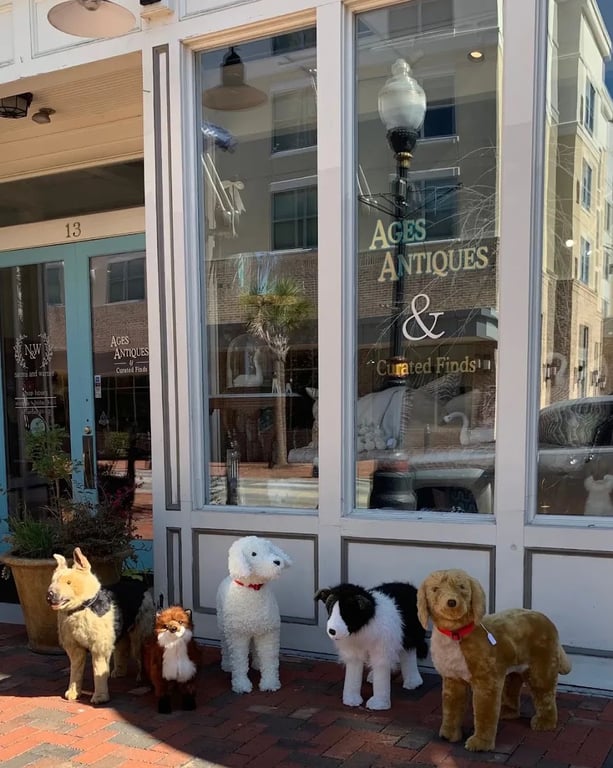 Photo of Ages Antiques & Curated Finds