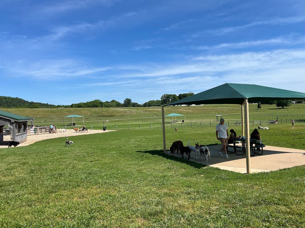 K-9 Korral Dog Park
