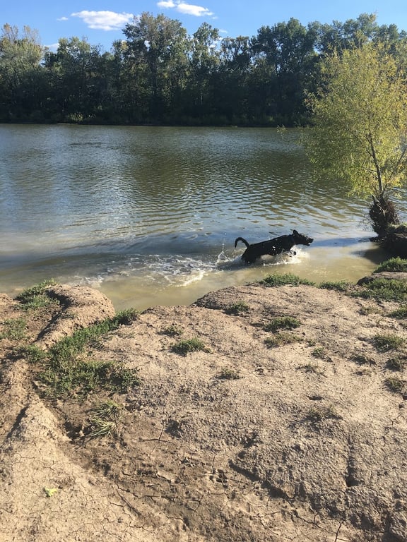 Twin Lakes Dog Park