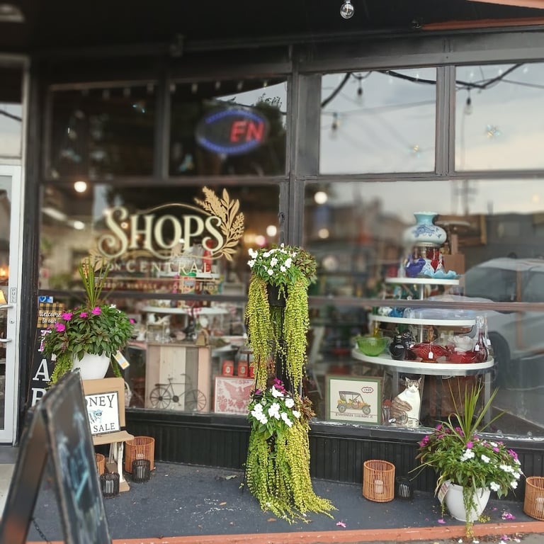 The Shops on Central (formally Honey Hole thrift and Collectibles)