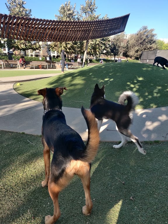 Bluff Creek Dog Park