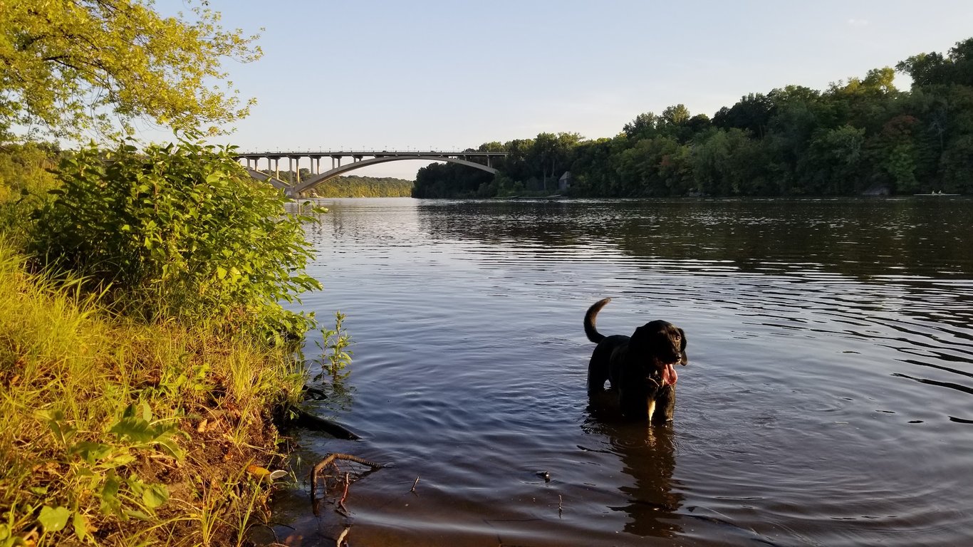 Meeker Island Dog Park