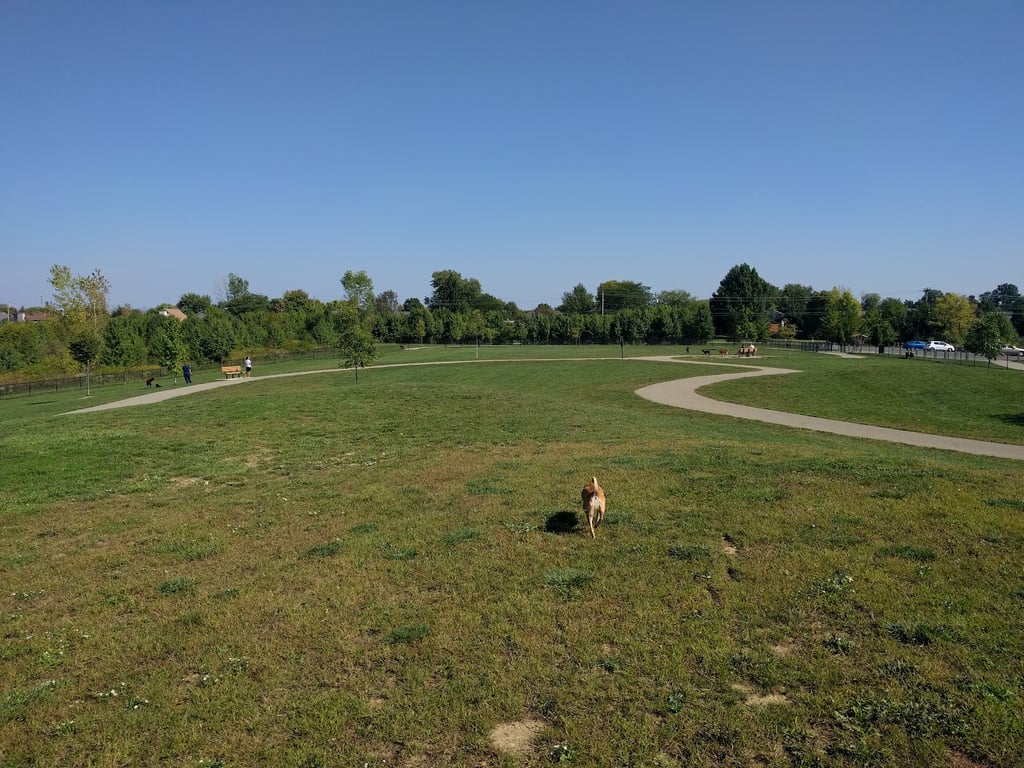 Spindler Dog Park