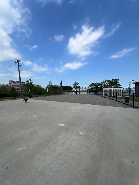 Dog Run
