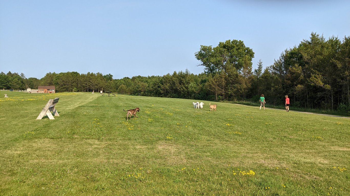 Room To Roam Dog Park
