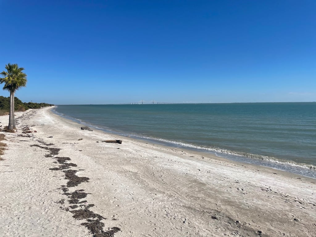 Fort De Soto Dog Park / Beach