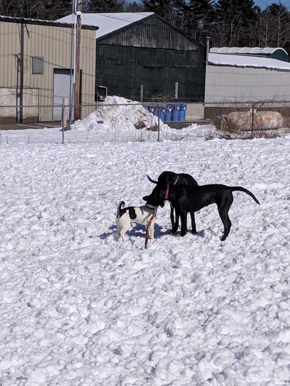 Kennebunk Dog Park