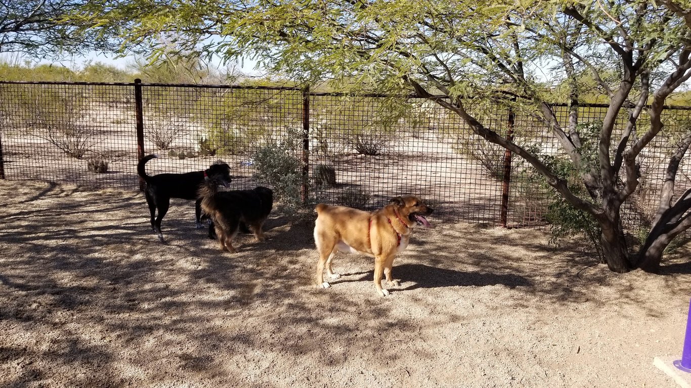 Ivan’s Spot Dog Park