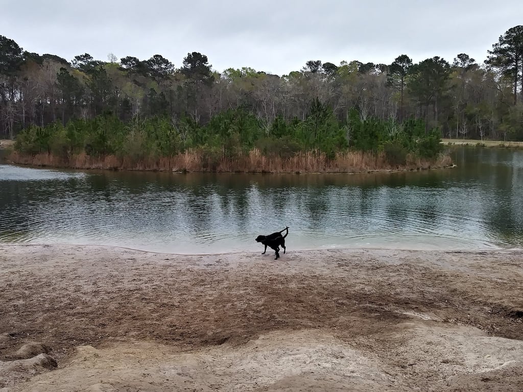 Burton Wells Dog Park