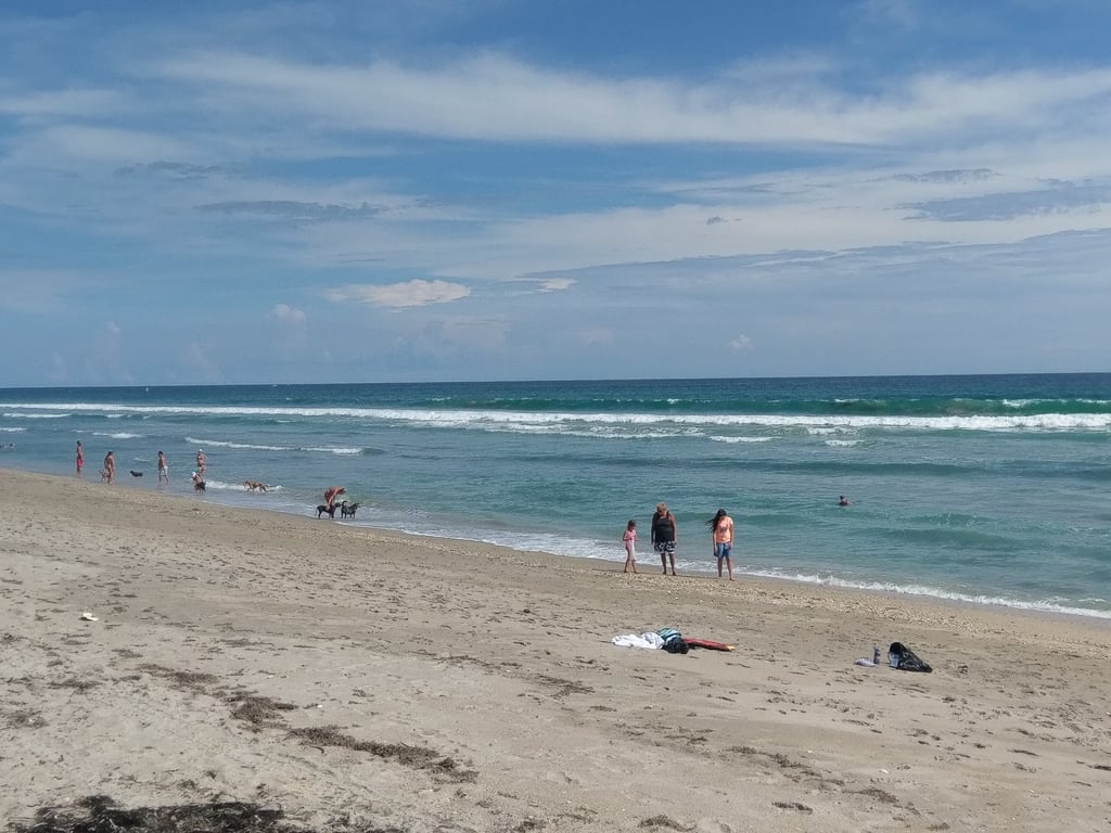 Walton Rocks Beach / Dog Park