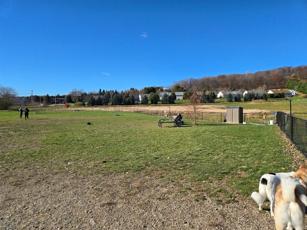 Marc’s Barc Parc