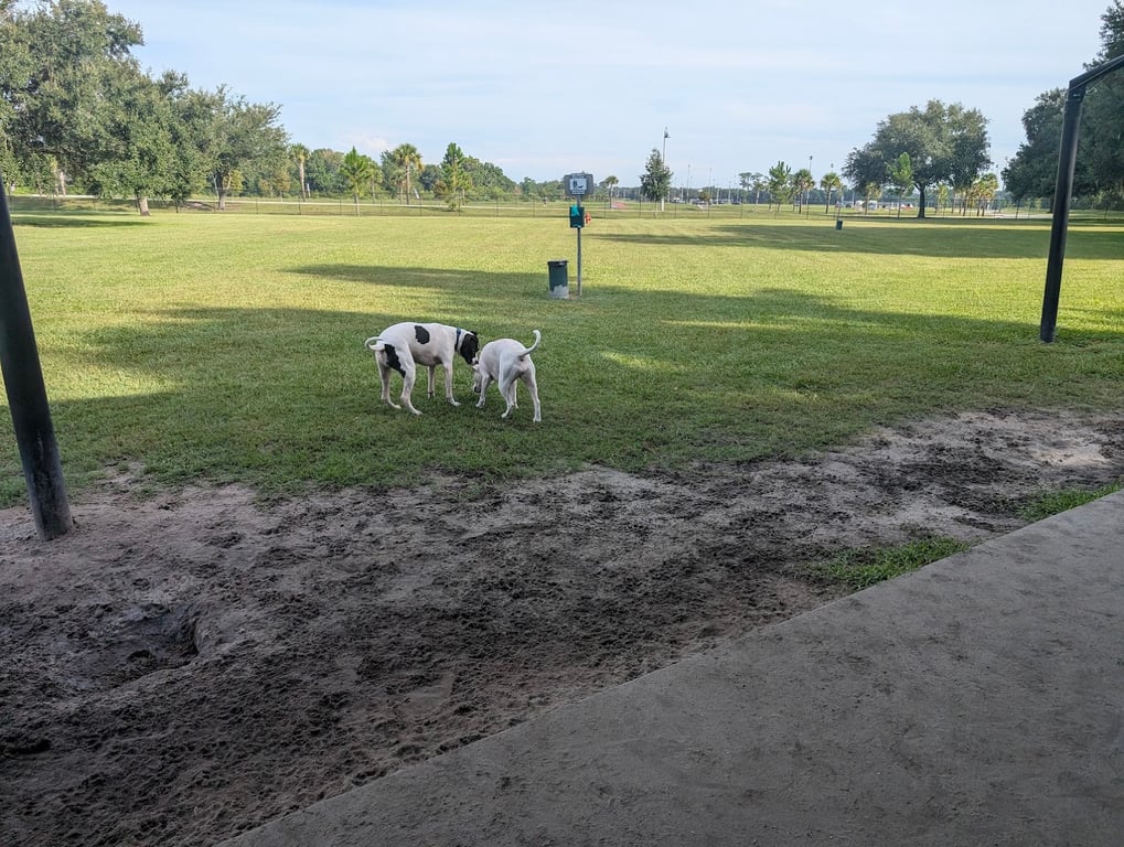 Auburndale Dog Park