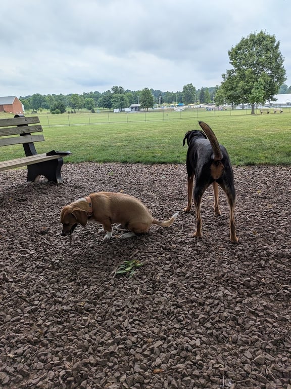 Overlook Dog Park *Membership required