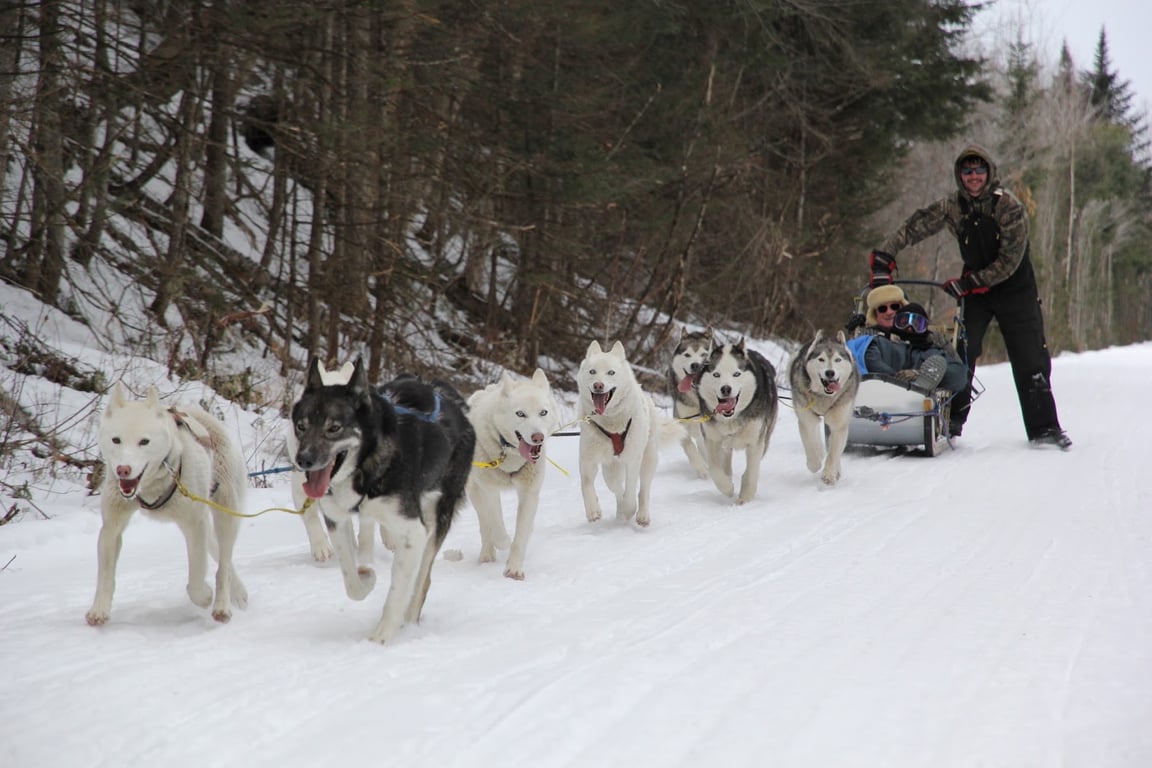 Muddy Paw Sled Dog Kennel