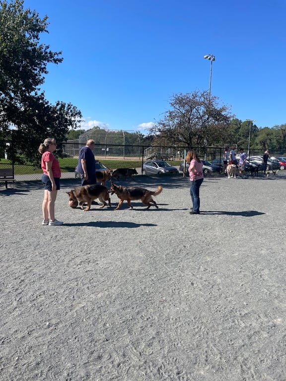 Baron Cameron Dog Park