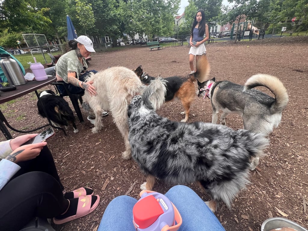Morton Avenue Dog Park